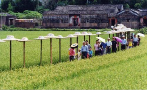 休閑農(nóng)業(yè)旅游規(guī)劃