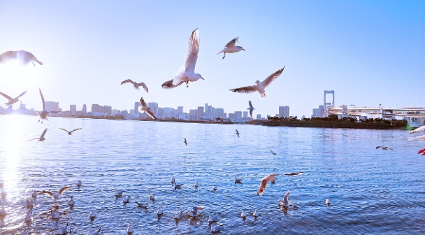 旅游策劃